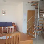 Iva Daire Povljana